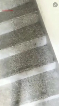 预览图11