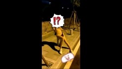 预览图7