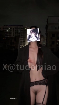 预览图4