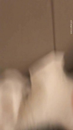 预览图9
