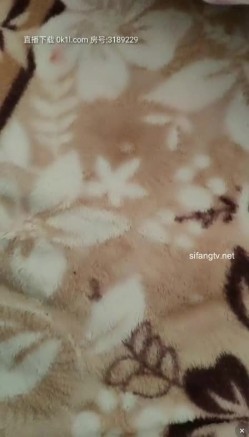 预览图8