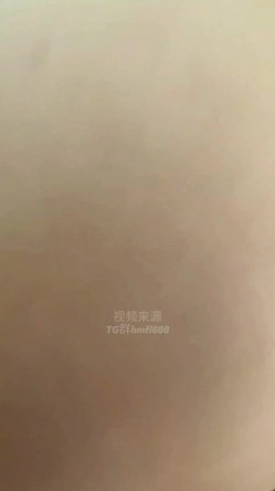 预览图15