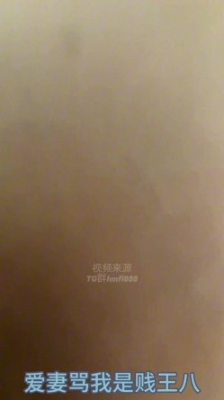 预览图16