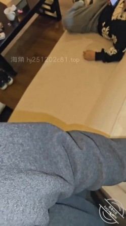 预览图4