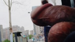 预览图3