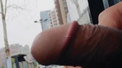 预览图4
