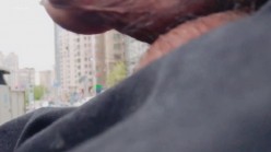 预览图6