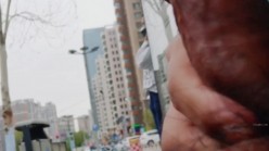 预览图7