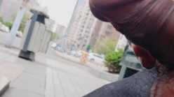 预览图16