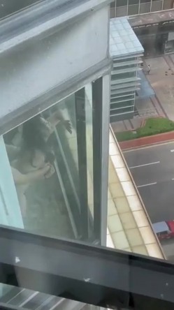 预览图1