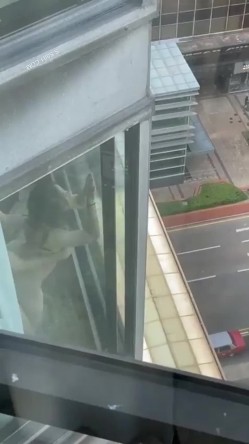预览图2
