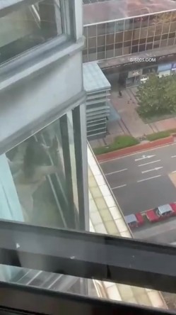预览图4
