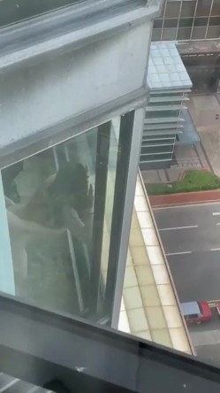 预览图6