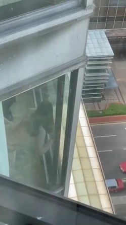 预览图8