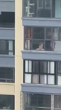 预览图10