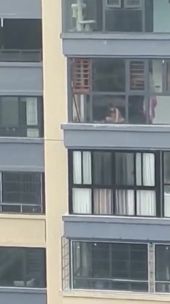 预览图13