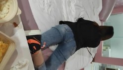 预览图5