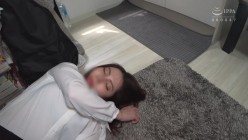 预览图4