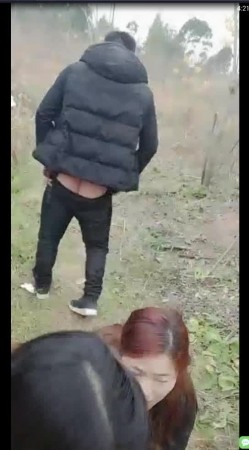 预览图9