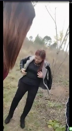 预览图14