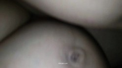 预览图4