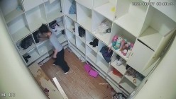 预览图16