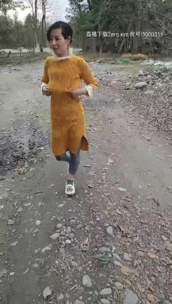 预览图7