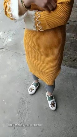 预览图14