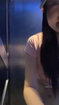 预览图5