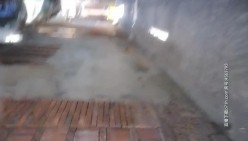 预览图5