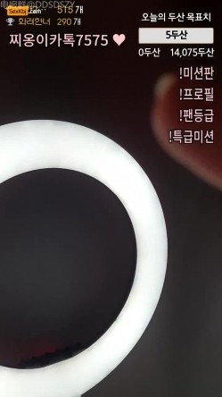 预览图4