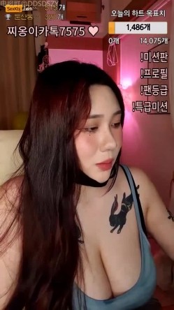 预览图5