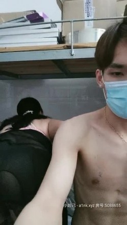 预览图5