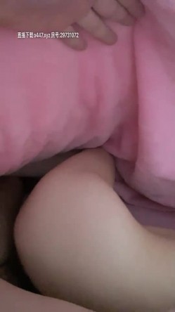 预览图4
