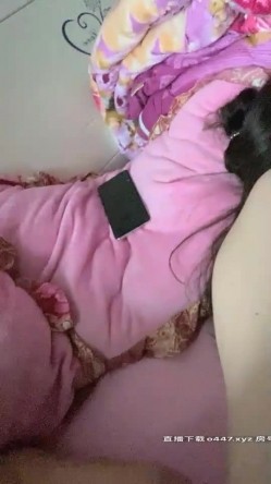 预览图9
