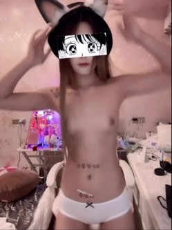 预览图4