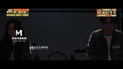 预览图4