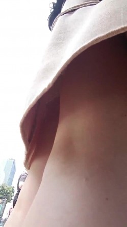 预览图5
