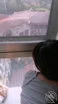 预览图8