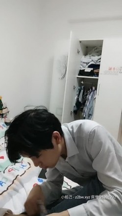 预览图5