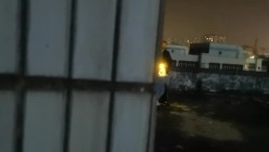 预览图4
