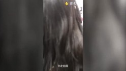 预览图15