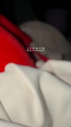 预览图13
