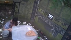 预览图9