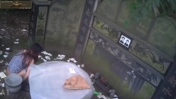 预览图10