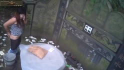 预览图12