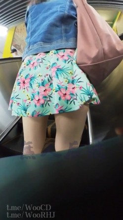 预览图8