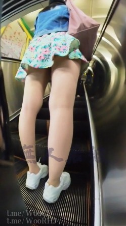预览图9