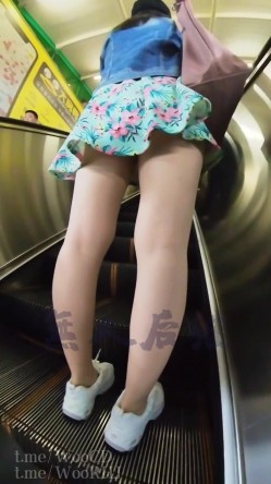 预览图10
