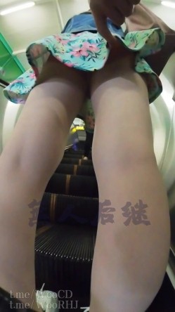 预览图13